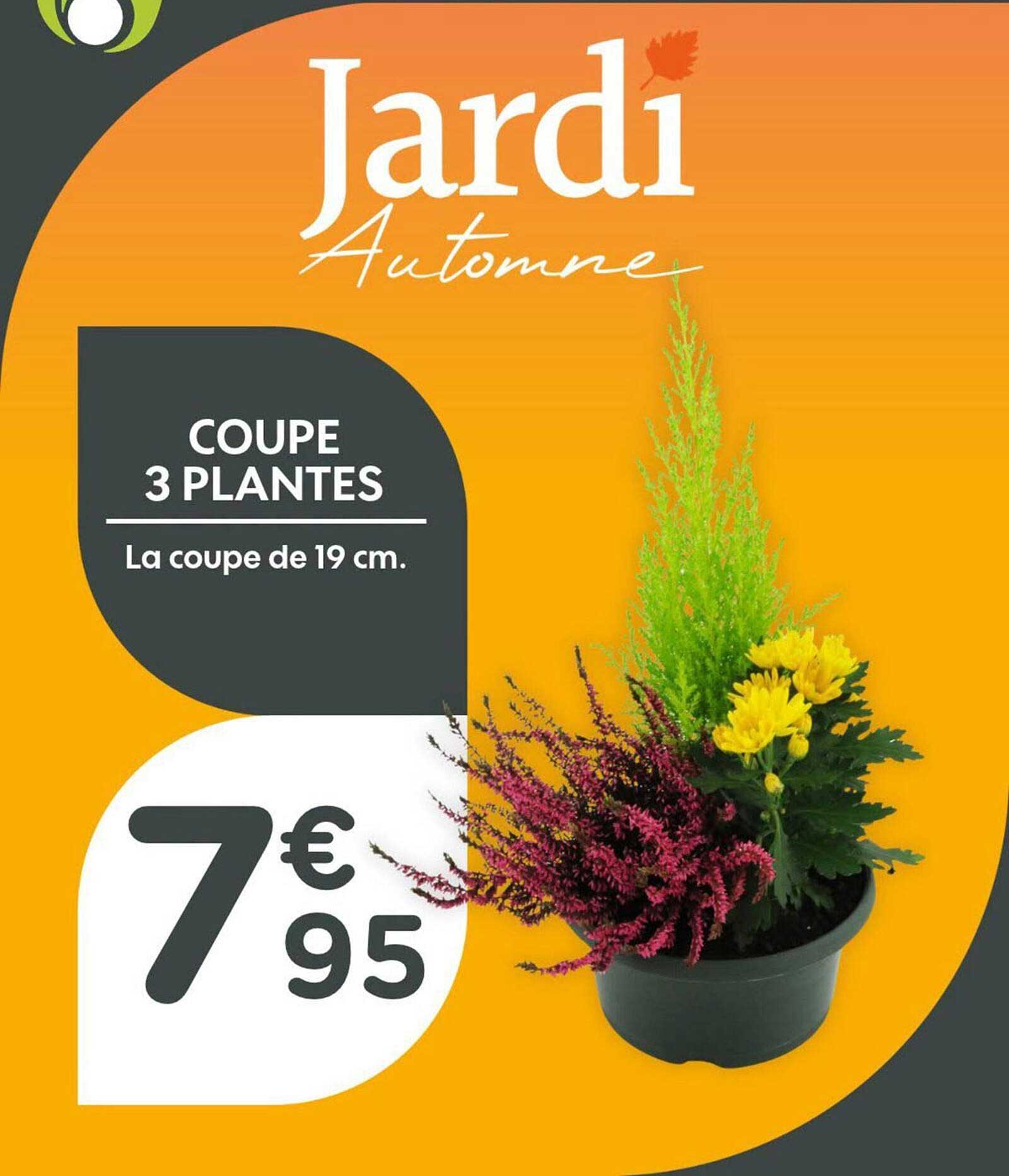 COUPE 3 PLANTES - La coupe de 19 cm.