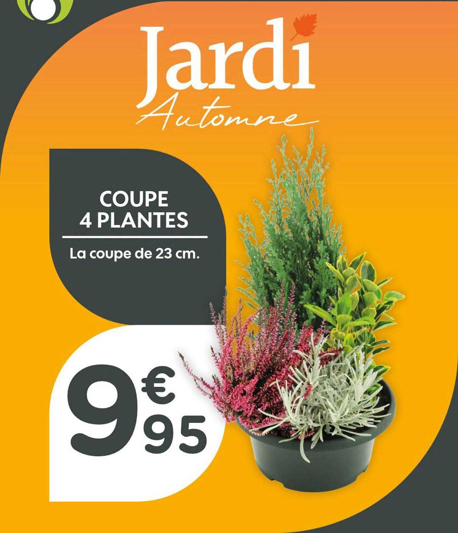 COUPE 4 PLANTES