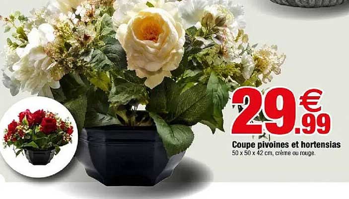 Coupe pivoines et hortensias