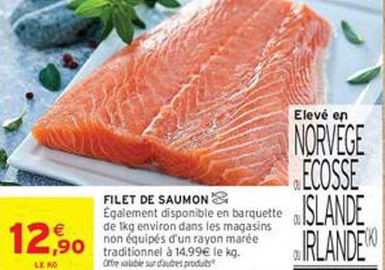 FILET DE SAUMON