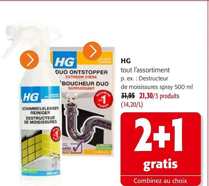 HG tout l’assortiment p. ex. : Destructeur de moisissures spray 500 ml