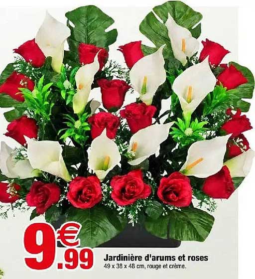 Jardinière d'arums et roses