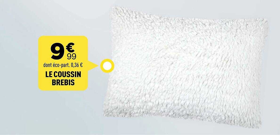 LE COUSSIN BREBIS