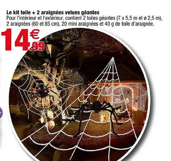 Le kit toile + 2 araignées velues géantes