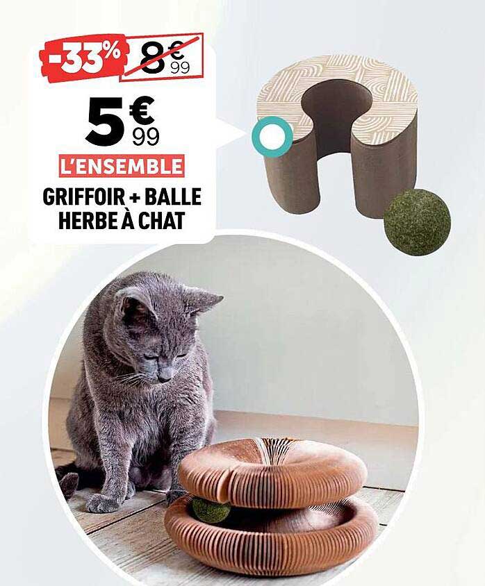 L’ENSEMBLE GRIFFOIR + BALLE HERBE À CHAT