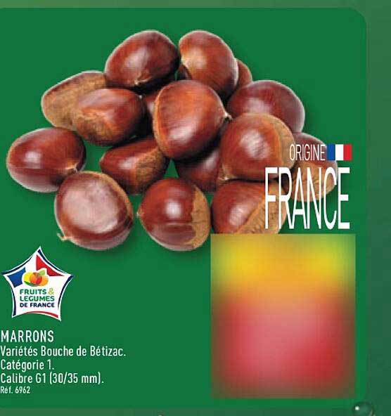 MARRONS Variétés Bouche de Bétizac. Catégorie 1. Calibre G1 (30/35 mm). Réf. 6962
