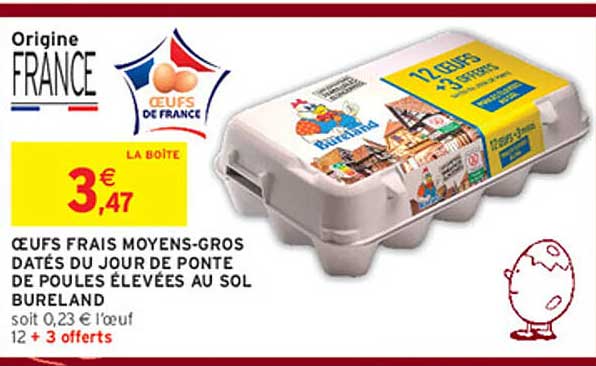 ŒUFS FRAIS MOYENS-GROS DATES DU JOUR DE PONTE DE POULES ÉLEVÉES AU SOL BURELAND