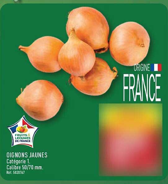 OIGNONS JAUNES