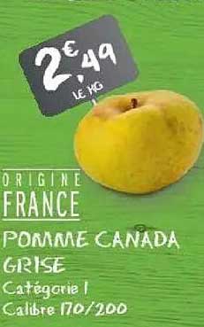 POMME CANADA GRISE