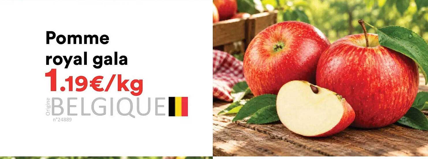 Pomme royal gala
