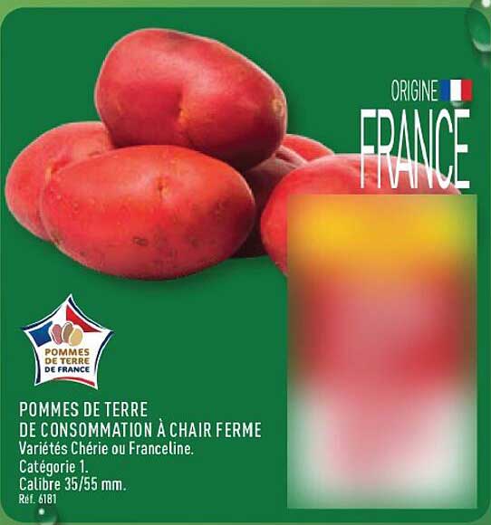 POMMES DE TERRE DE CONSOMMATION À CHAIR FERME Variétés Chérie ou Franceline. Catégorie 1. Calibre 35/55 mm. Réf. 6181