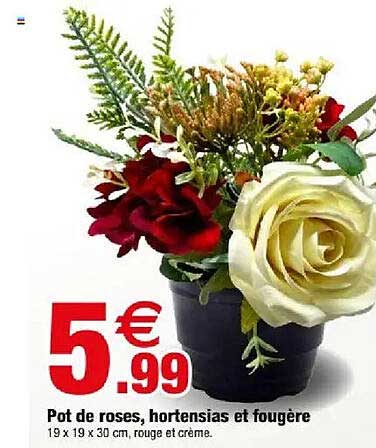 Pot de roses, hortensias et fougère