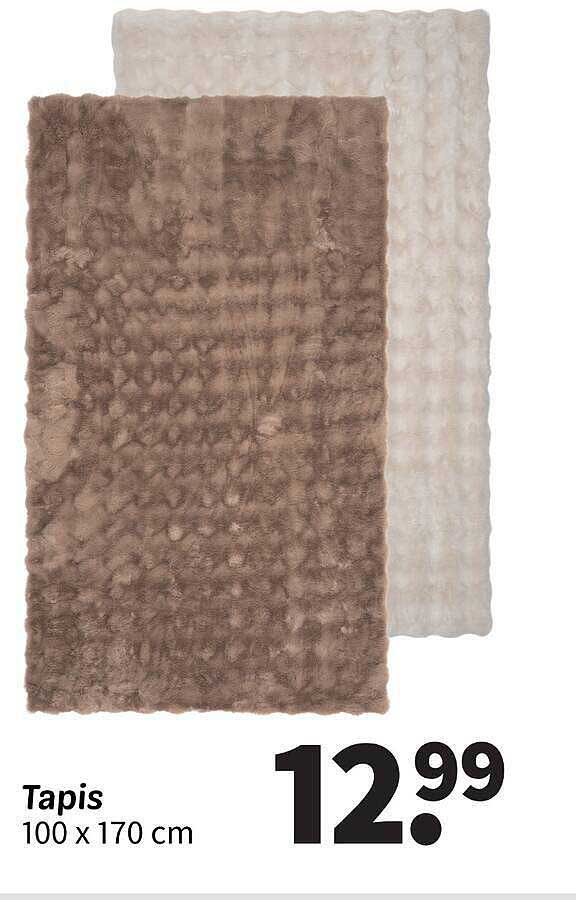 Tapis 100 x 170 cm