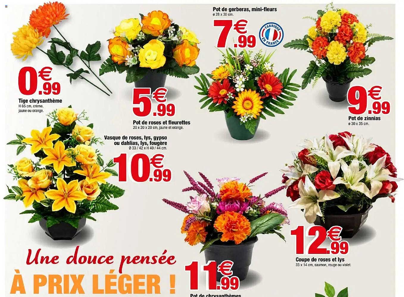 Tige chrysanthème