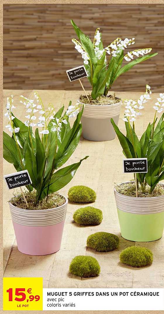 MUGUET 5 GRIFFES DANS UN POT CÉRAMIQUE