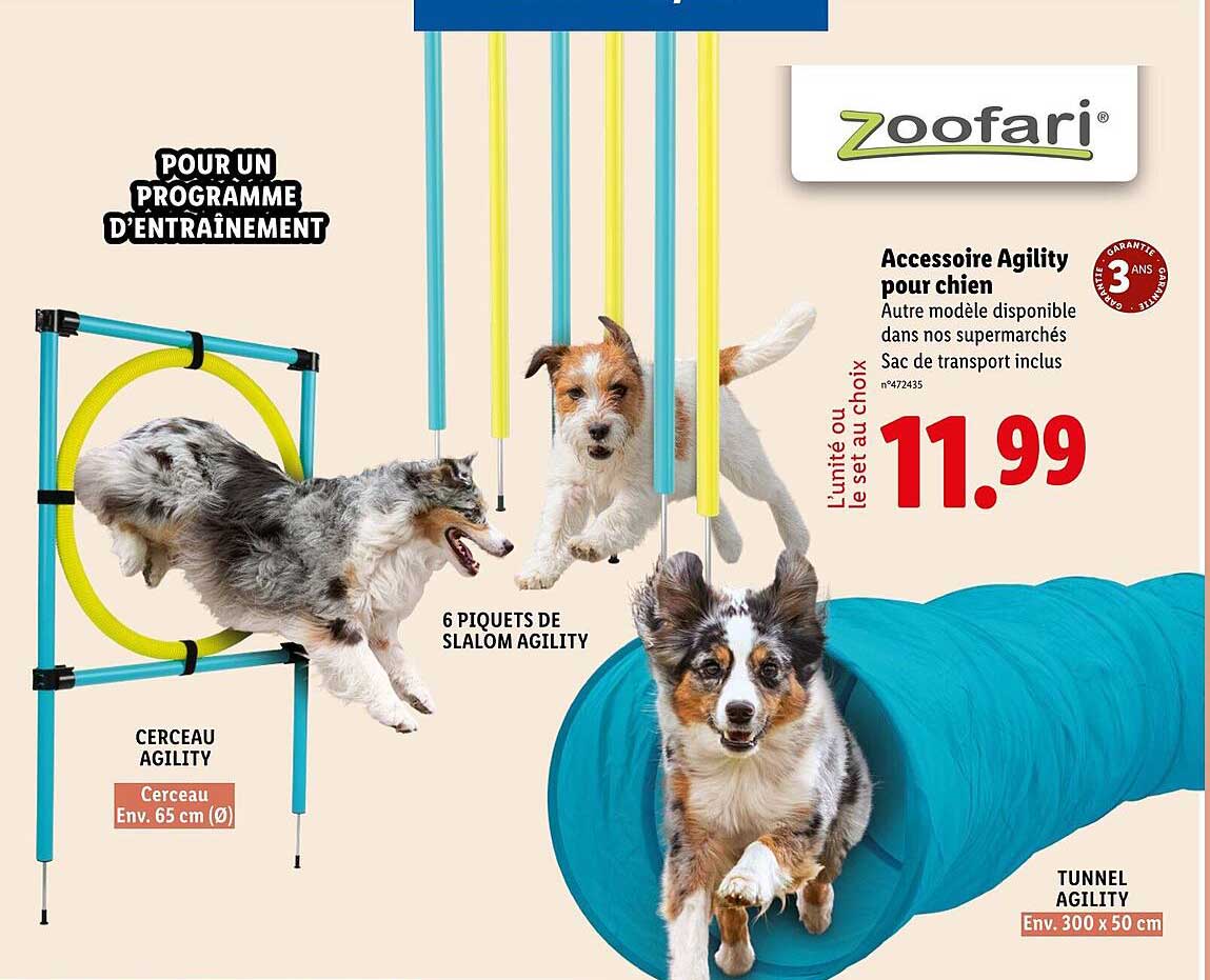 Accessoire Agility pour chien