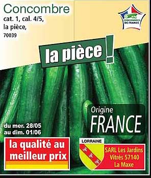 Concombre