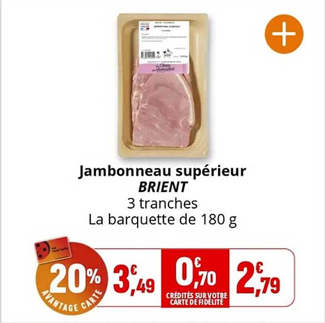 Jambonneau supérieur BRIENT