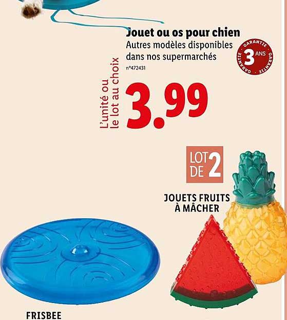 Jouet ou os pour chien