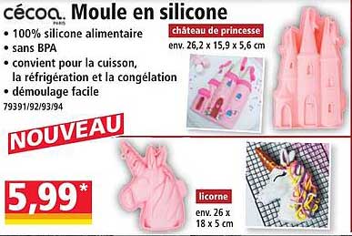 Moule en silicone
