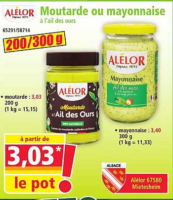 Moutarde ou mayonnaise à l'ail des ours
