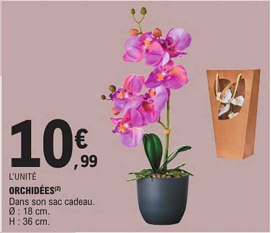 ORCHIDÉES