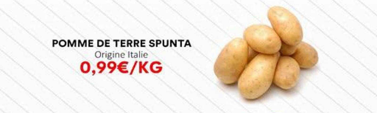 POMME DE TERRE SPUNTA