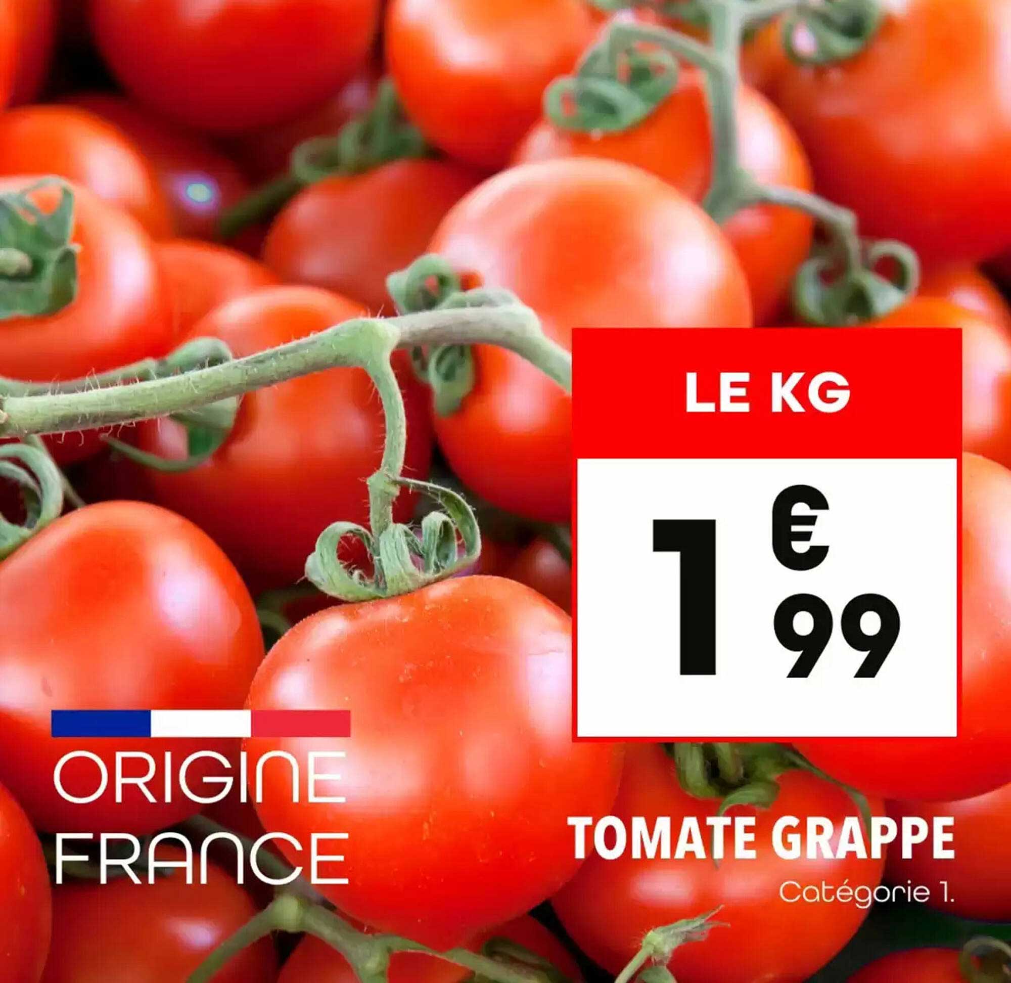 TOMATE GRAPPE