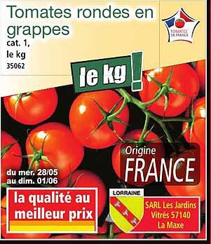Tomates rondes en grappes