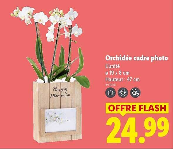 Orchidée cadre photo