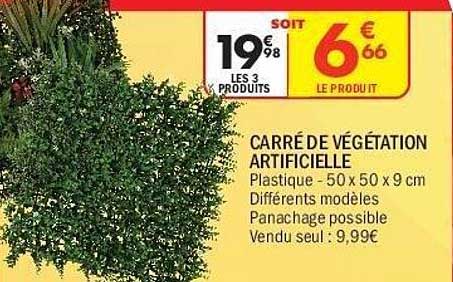 CARRÉ DE VÉGÉTATION ARTIFICIELLE
