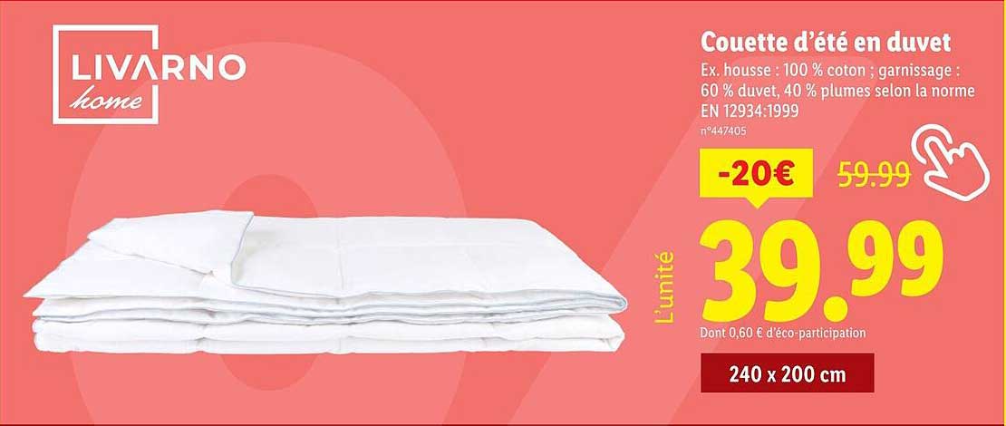 Couette d'été en duvet