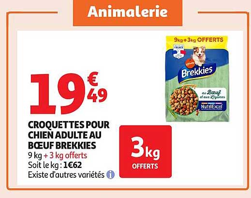 CROQUETTES POUR CHIEN ADULTE AU BŒUF BREKKIES
