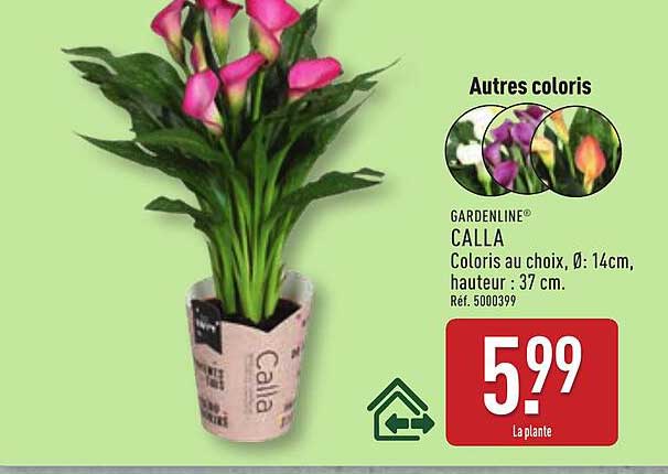 CALLA