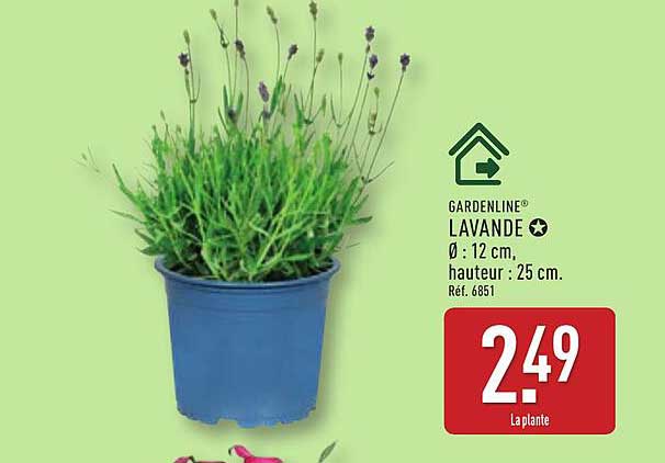 GARDENLINE® LAVANDE