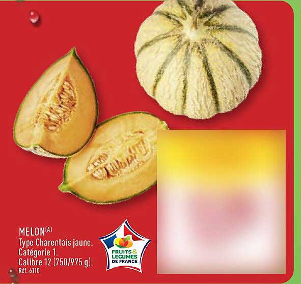 MELON(A) Type Charentais jaune