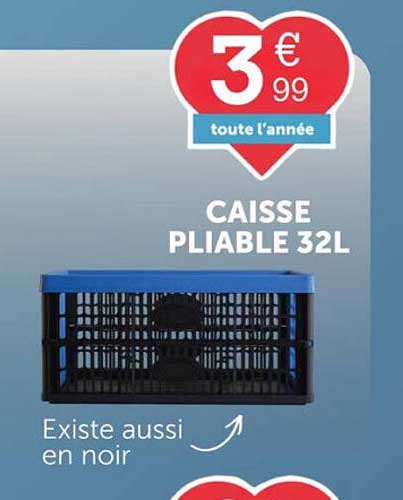 CAISSE PLIABLE 32L