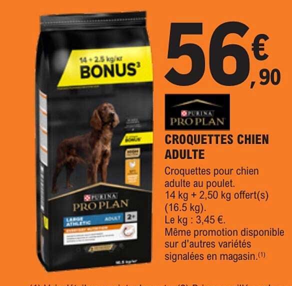 CROQUETTES CHIEN ADULTE