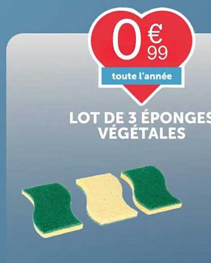 LOT DE 3 ÉPONGES VÉGÉTALES