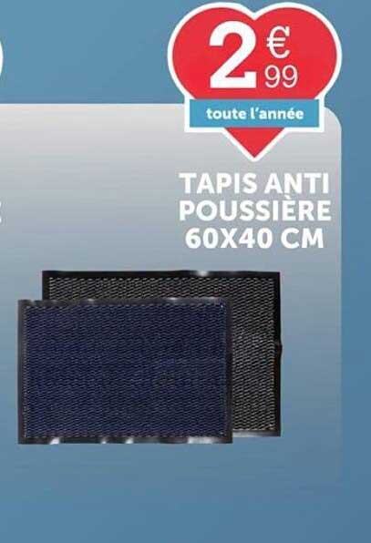 TAPIS ANTI POUSSIERE 60X40 CM