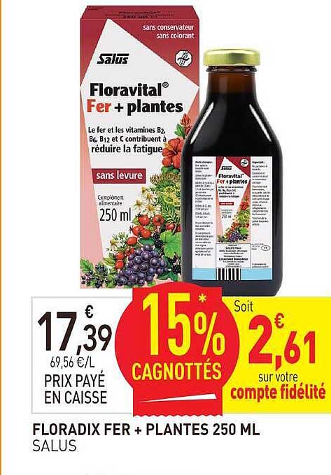 FLORADIX FER + PLANTES 250 ML SALUS
