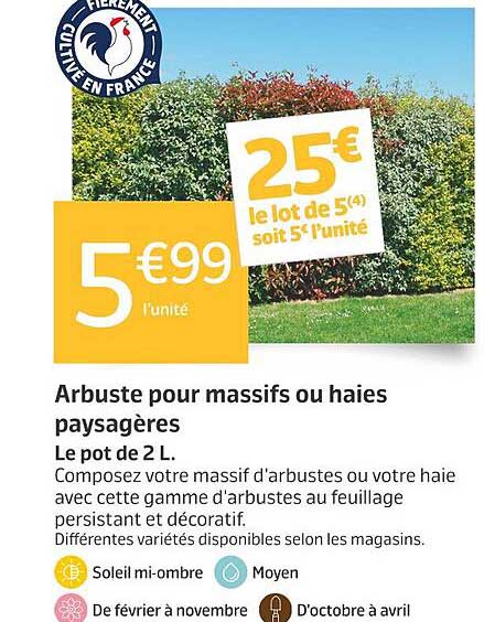Arbuste pour massifs ou haies paysagères