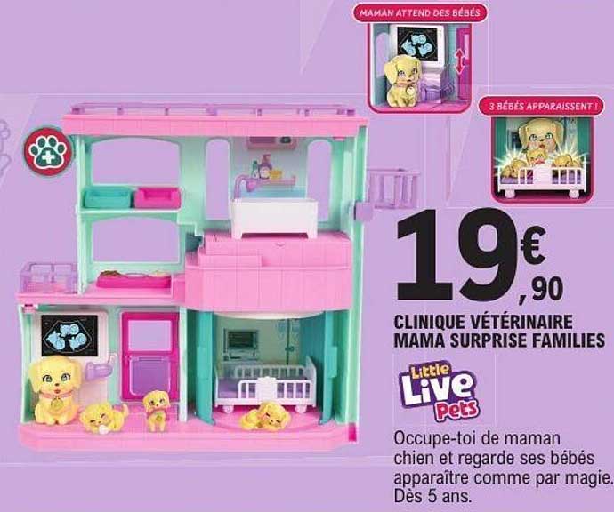 CLINIQUE VÉTÉRINAIRE MAMA SURPRISE FAMILIES