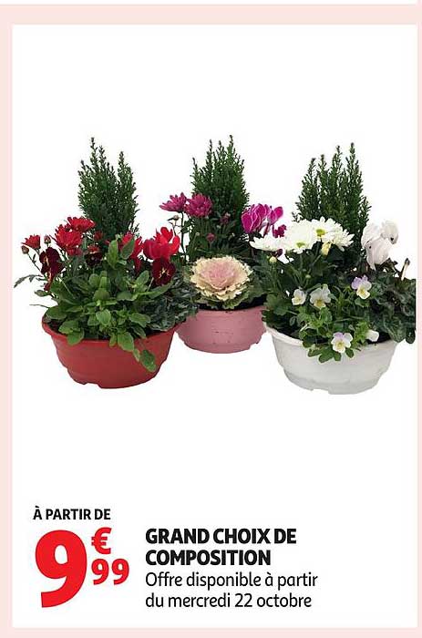 GRAND CHOIX DE COMPOSITION