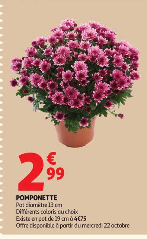 POMPONETTE