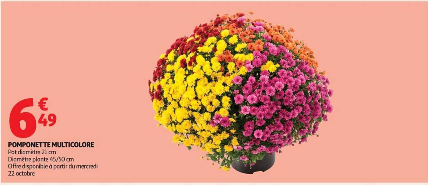 POMPONETTE MULTICOLORE