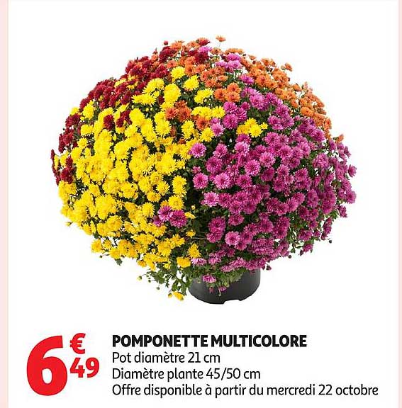 POMPONETTE MULTICOLORE