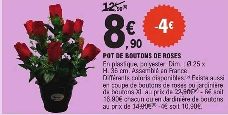 POT DE BOUTONS DE ROSES