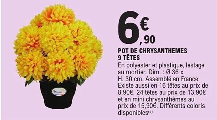 POT DE CHRYSANTHEMES 9 TÊTES