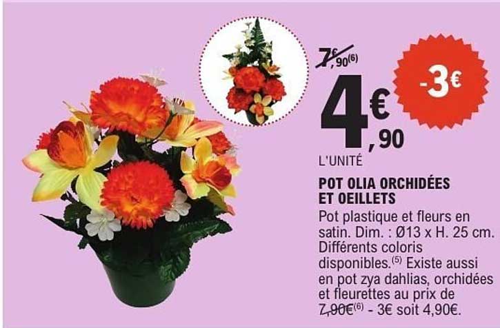 POT OLIA ORCHIDÉES ET OEILLETS